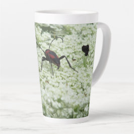 Insekt auf Elderflower Milchtasse