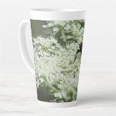 Insekt auf Elderflower Milchtasse (Linke Ecke)