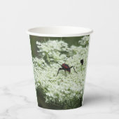 Insekt auf Elderflower Pappbecher (Rückseite)
