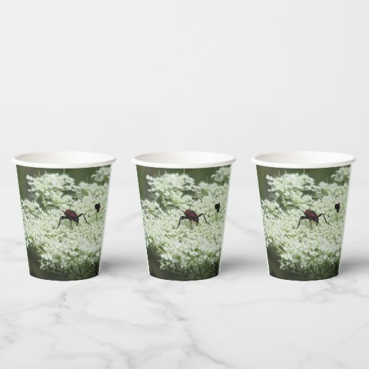 Insekt auf Elderflower Pappbecher (Multi)