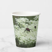 Insekt auf Elderflower Pappbecher (Vorderseite)