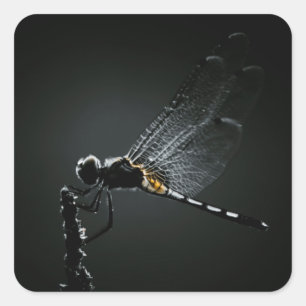 Insekt - Dragonfly Wings Quadratischer Aufkleber