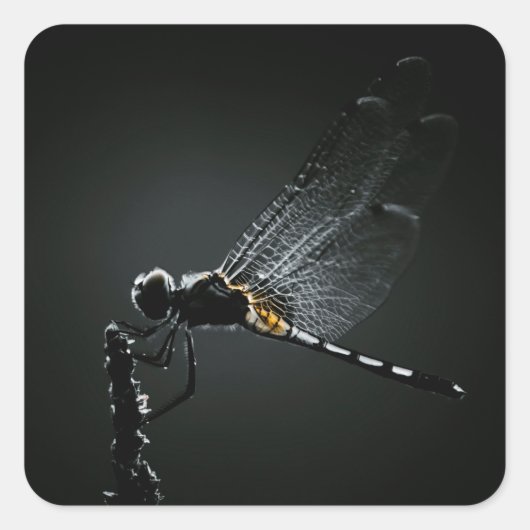 Insekt - Dragonfly Wings Quadratischer Aufkleber (Vorderseite)