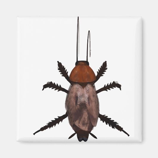 Insekt Magnet (Vorne)