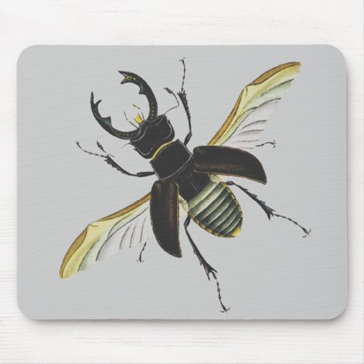 Insekt Mousepad (Vorne)