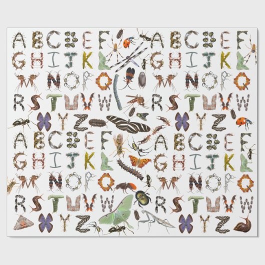Insekt und Bug Alphabet - Creepy Crawlies for Kids Geschenkpapier (Flach)