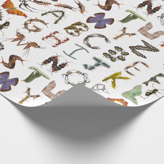 Insekt und Bug Alphabet - Creepy Crawlies for Kids Geschenkpapier (Ecke)