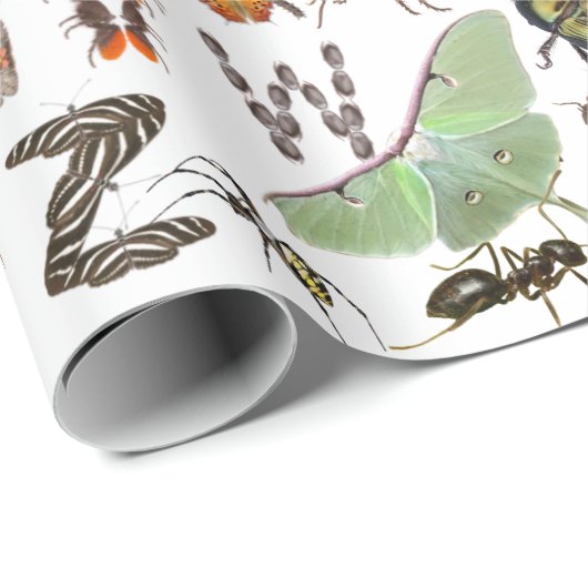 Insekt und Bug Alphabet - Creepy Crawlies for Kids Geschenkpapier (Rolleneckpunkt)