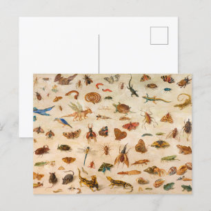Insekten, Amphibien und Muscheln von Jan van Kesse Postkarte