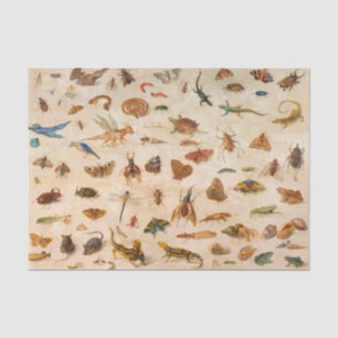 Insekten, Amphibien und Muscheln von Jan van Kesse Seidenpapier