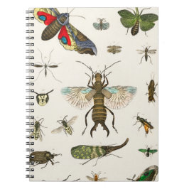 Insekten aus der Geschichte der Erde Notizblock
