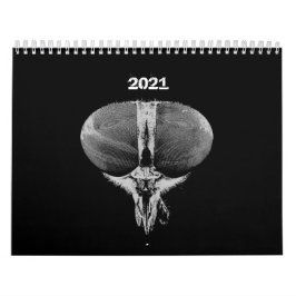 Insekten - Beutel - Heimtierinsekten Kalender