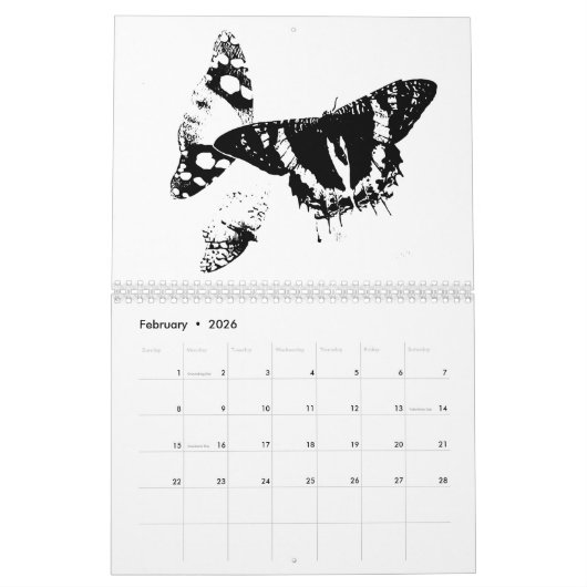 Insekten - Beutel - Heimtierinsekten Kalender (Feb 2026)