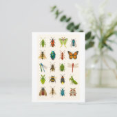 Insekten-Collage-Illustration Postkarte (Stehend Vorderseite)