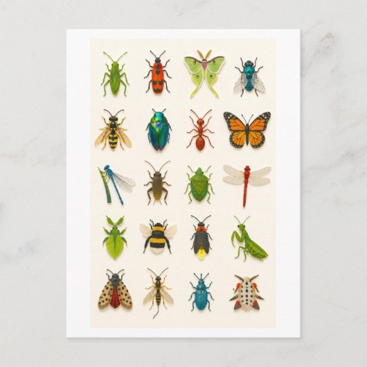 Insekten-Collage-Illustration Postkarte (Vorderseite)