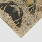 Insekten-Collage No.501 Seidenpapier (Ausschnitt)