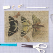 Insekten-Collage No.501 Seidenpapier (Handwerk)