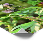 Insekten - Collage Poster (Ecke)