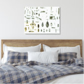 Insekten der Entomologie Leinwanddruck (Insitu (Schlafzimmer))