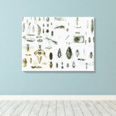 Insekten der Entomologie Leinwanddruck (Insitu (Holzboden))