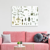 Insekten der Entomologie Leinwanddruck (Insitu (Wohnzimmer))
