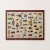 Insekten der Fehlersammlung Fun Entomology Puzzle (Horizontal)