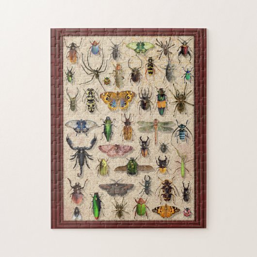 Insekten der Fehlersammlung Fun Entomology Puzzle (Vertikal)