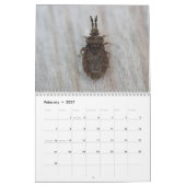 Insekten des Monatskalenders Kalender (Feb 2027)