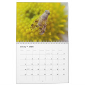 Insekten-Faszinations-Kalender Kalender (Jan 2026)