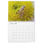 Insekten-Faszinations-Kalender Kalender (Jan 2027)