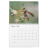 Insekten-Faszinations-Kalender Kalender (Feb 2027)