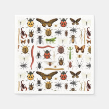 Insekten-Geburtstagspapier