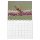 Insekten: Großer und kleiner Kalender (Feb 2027)
