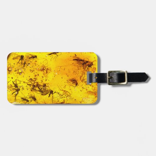 Insekten im Bernstein Gepäckanhänger (Vorderseite horizontal)