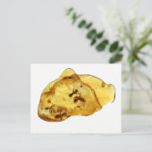 Insekten im Bernstein Postkarte (Stehend Vorderseite)