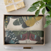 Insekten, Insekten, Plate Nr. 16 von E. A. Seguy Seidenpapier (Geschenk)