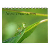 Insekten-Inspirations-Kalender Kalender (Titelbild)