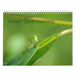 Insekten-Inspirations-Kalender Kalender