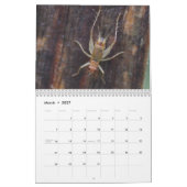 Insekten-Inspirations-Kalender Kalender (Mär 2027)