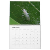 Insekten-Inspirations-Kalender Kalender (Jan 2027)