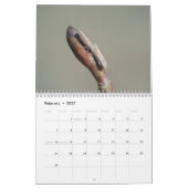 Insekten-Inspirations-Kalender Kalender (Feb 2027)