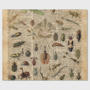 Insekten Käfer Vintage-Illustration Wörterbuch Kun Geschenkpapier