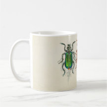 Insekten