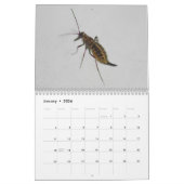 Insekten! Kalender (Jan 2026)