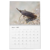 Insekten! Kalender (Mär 2027)