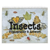 Insekten-Kalender Kalender (Titelbild)