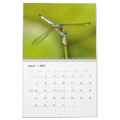 Insekten-Kalender Kalender (Mär 2027)