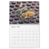Insekten-Kalender Kalender (Feb 2027)