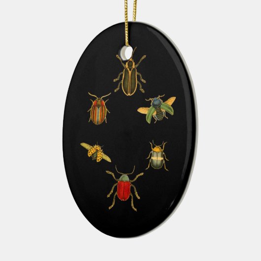 Insekten Keramik Ornament (Links)