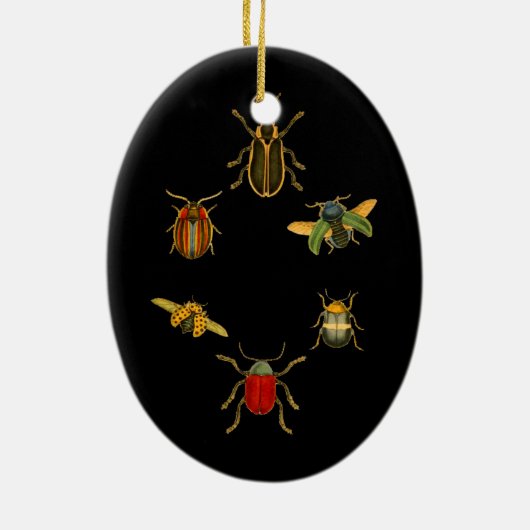 Insekten Keramik Ornament (Hinten)